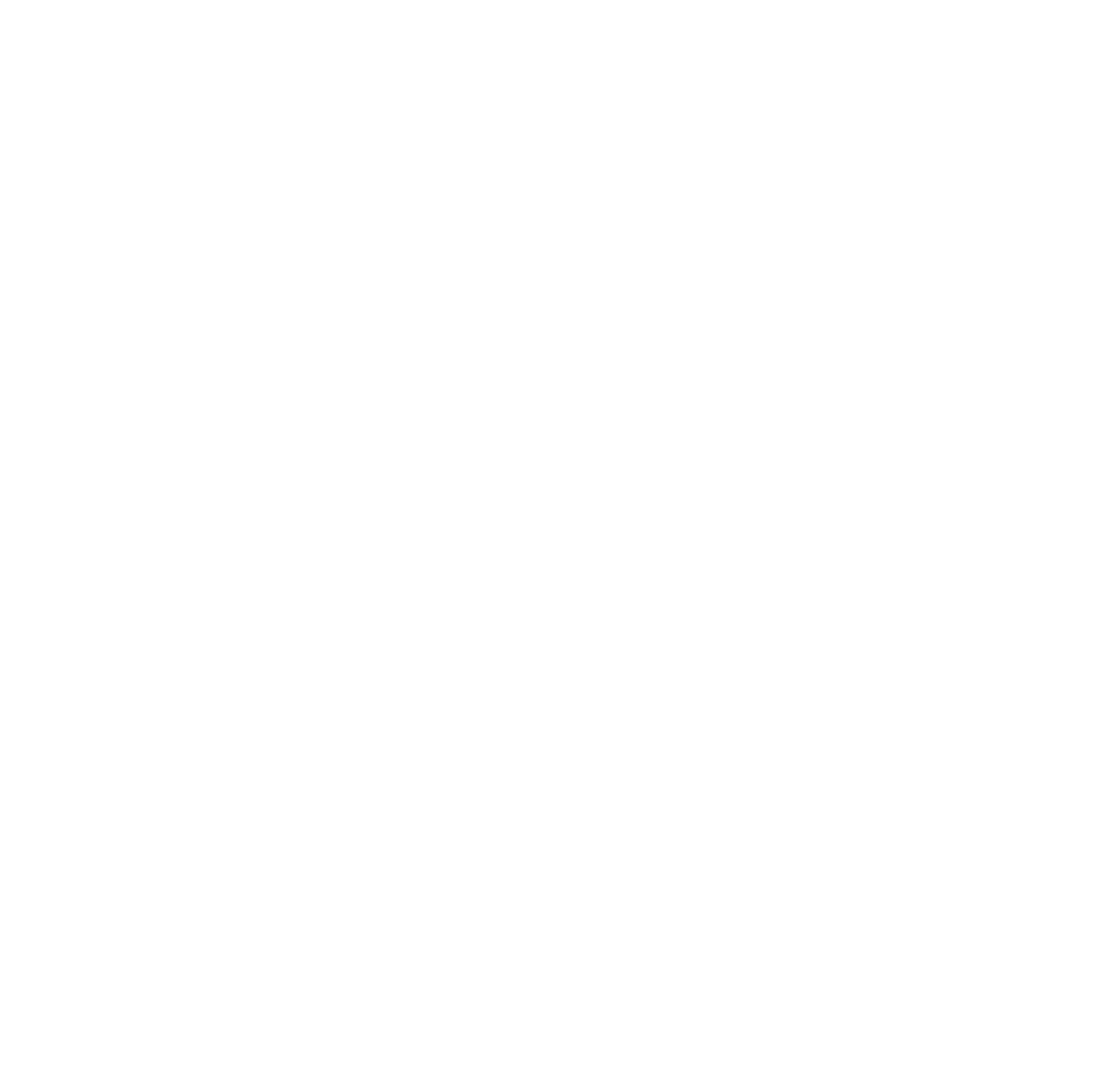 star logo white